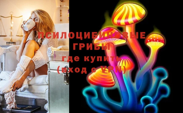 а пвп мука Белокуриха