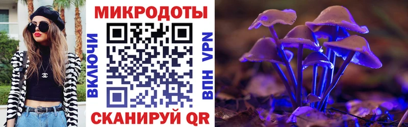 Галлюциногенные грибы Cubensis  купить  сайты  Сычёвка 